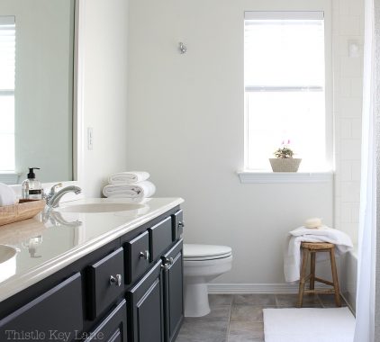 Guest Bathroom Mini Makeover Reveal - Thistle Key Lane