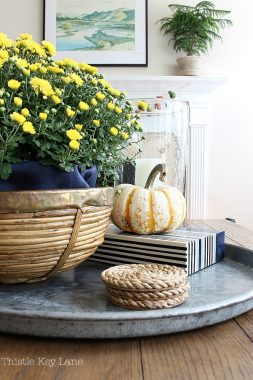 Fall Decorating With Mums And Pumpkins - Thistle Key Lane