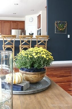 Fall Decorating With Mums And Pumpkins - Thistle Key Lane