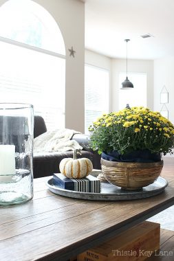 Fall Decorating With Mums And Pumpkins - Thistle Key Lane
