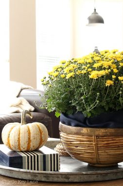 Fall Decorating With Mums And Pumpkins - Thistle Key Lane