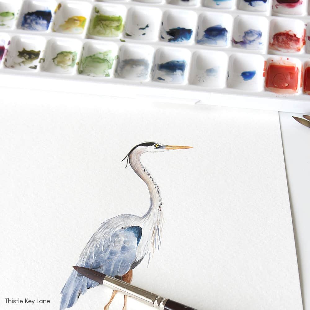 Heron Watercolors And A Look At My Studio
