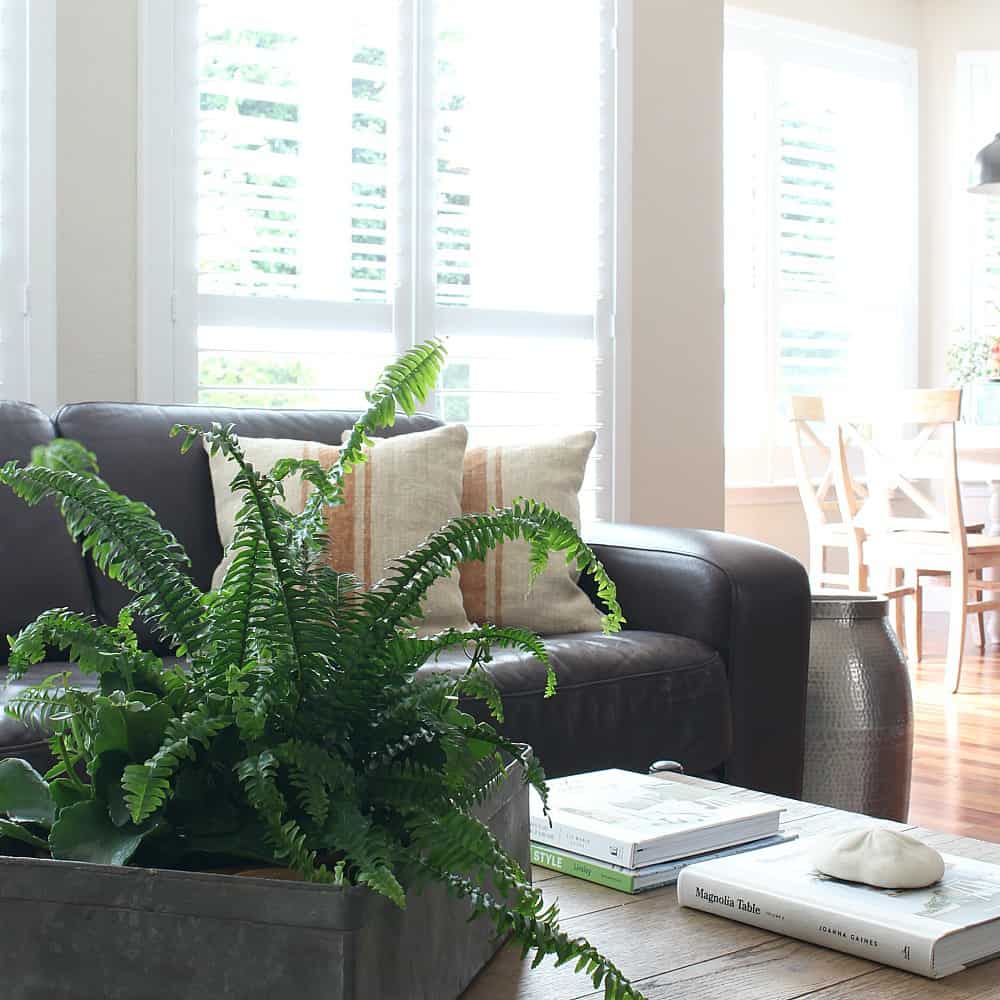Simple Summer Home Decorating Tour