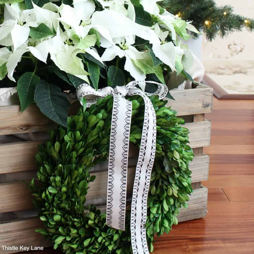 How To Decorate With Poinsettias In Crates