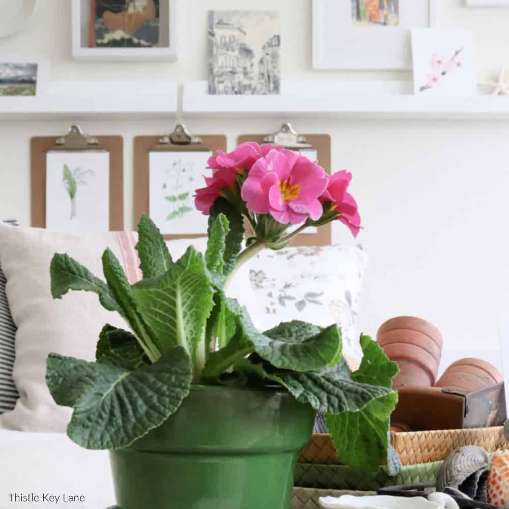 Winter Botanical Inspired Vignette