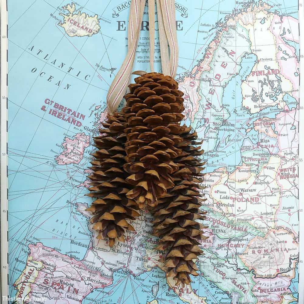 Winter Entry Table And A Pinecone Swag