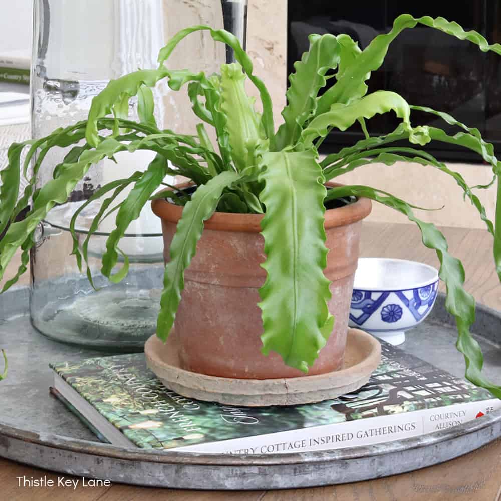 Spring To Summer Family Room Styling