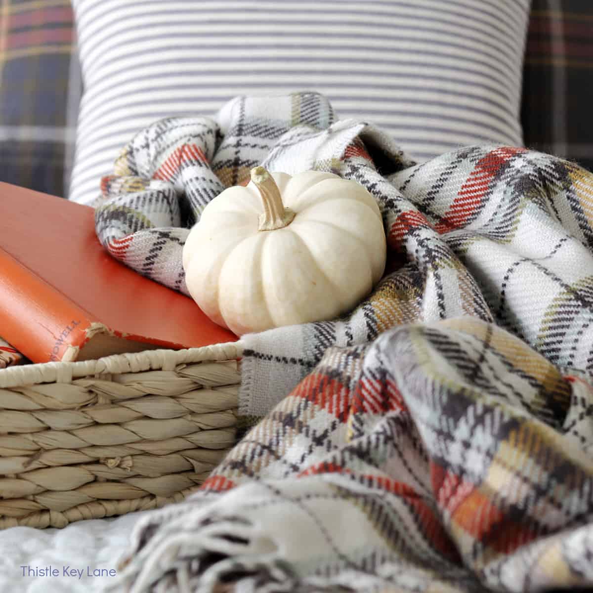 Fall plaid throw store pillows