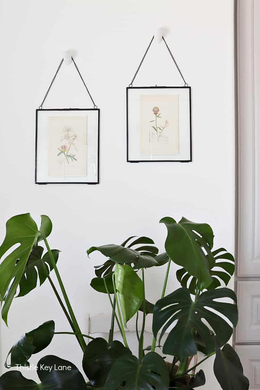 How To Use Wall Hooks For Hanging Artwork Thistle Key Lane