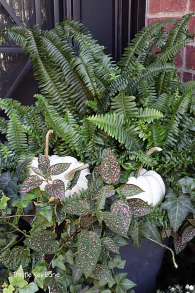 Classic Fall Decorating For A Small Porch - Thistle Key Lane