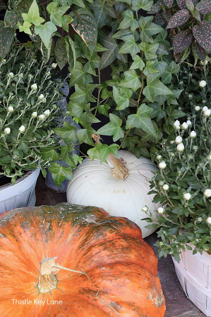 Classic Fall Decorating For A Small Porch - Thistle Key Lane