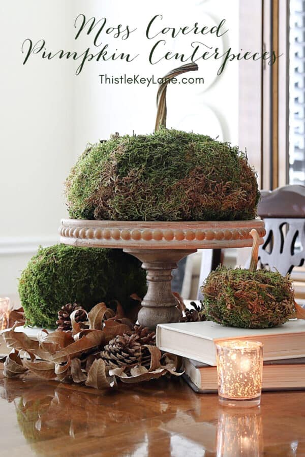 Thanksgiving Centerpieces With Moss Covered Pumpkins - Thistle Key Lane