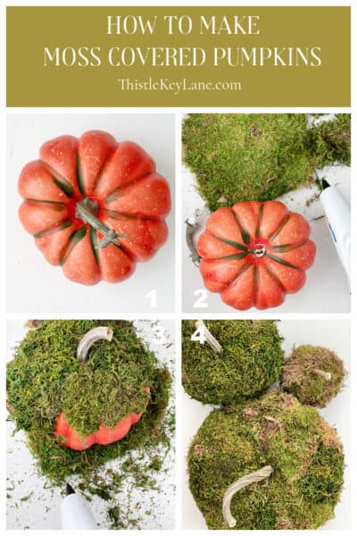 Thanksgiving Centerpieces With Moss Covered Pumpkins - Thistle Key Lane
