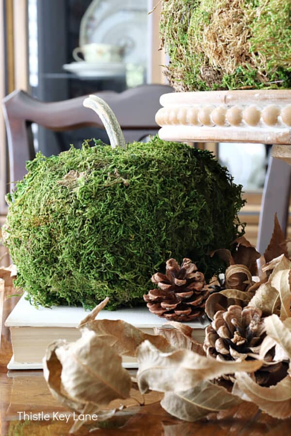 Thanksgiving Centerpieces With Moss Covered Pumpkins - Thistle Key Lane