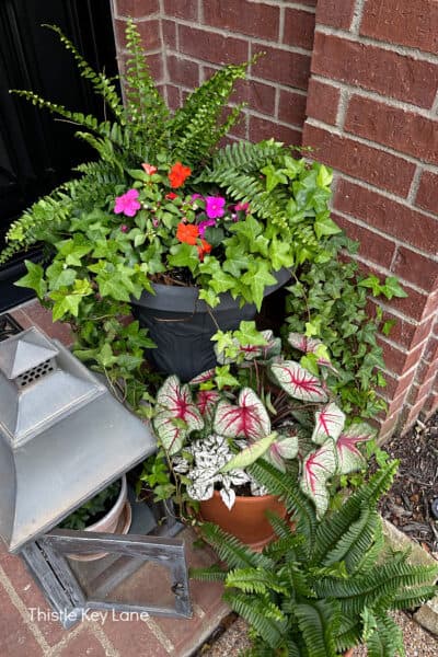 Small Porch Styling For Spring - Thistle Key Lane