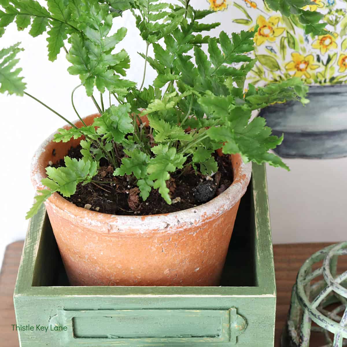 Open Shelf Summer Styling