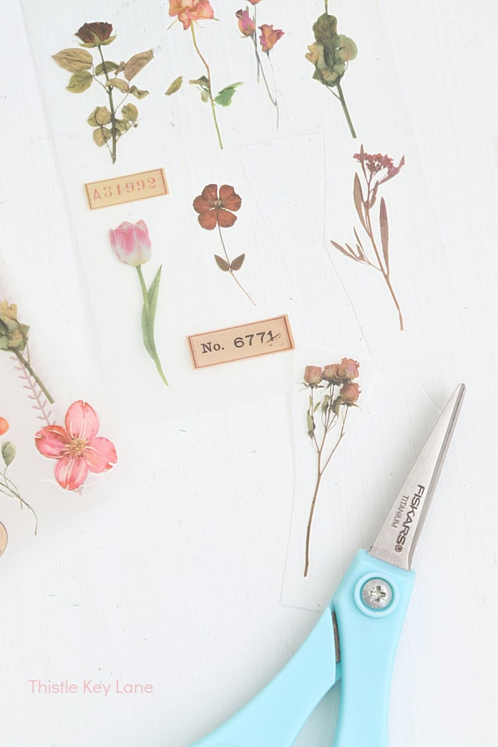 Scissors and rose rub on transfers. 