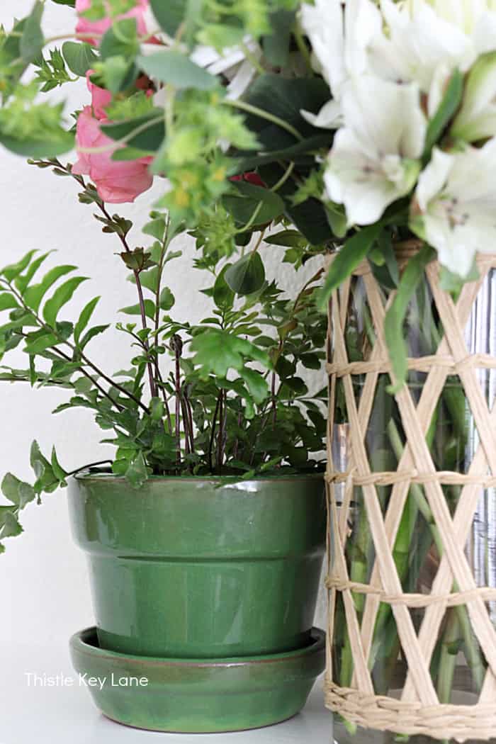 Fern in a green flower pot. Vintage Spring Mantel Decor Styling.