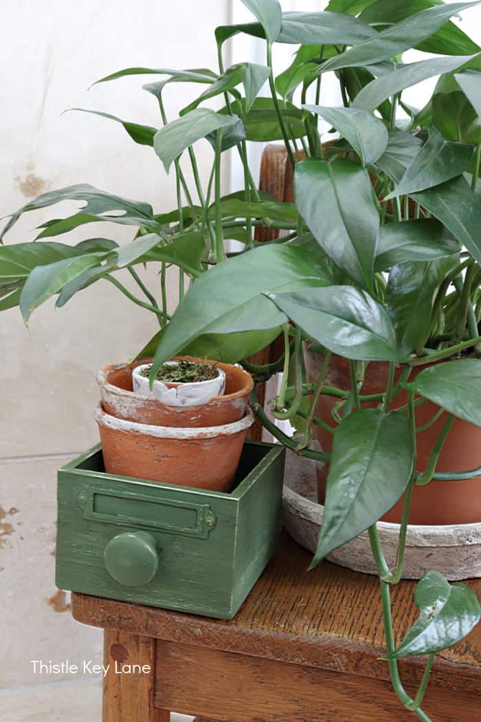 Wood drawer holding flower pots.