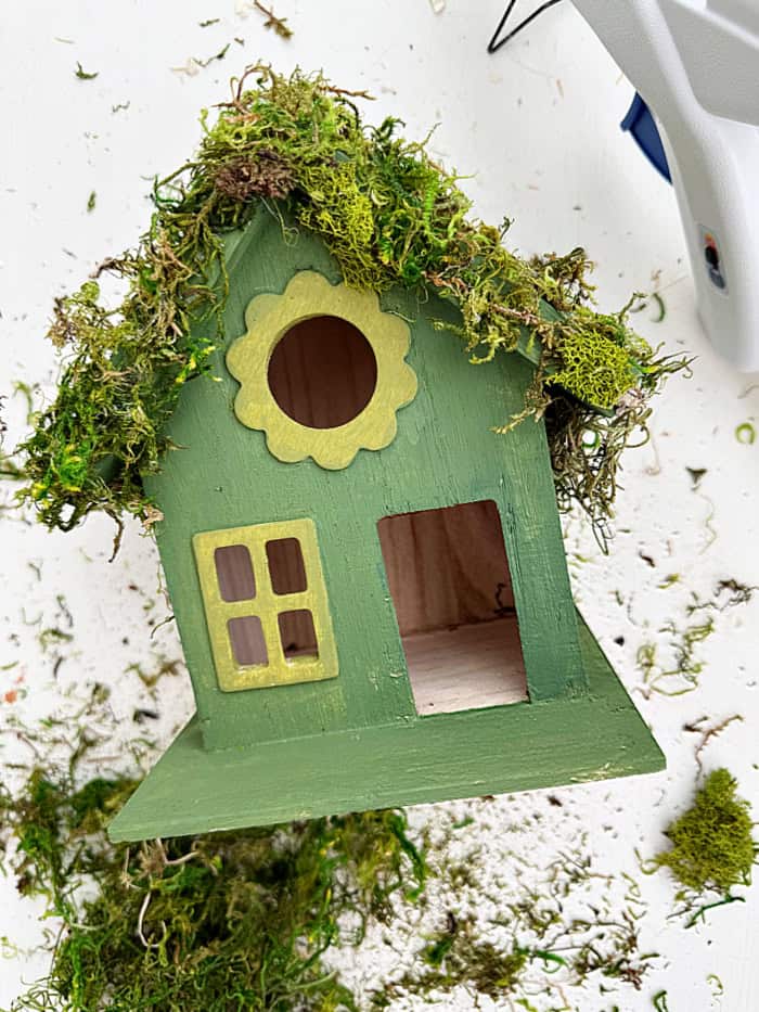 Adding preserved moss to the fairy house.