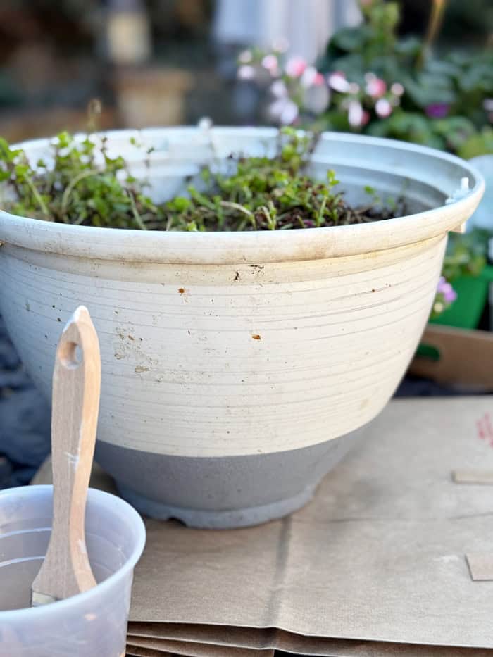 Flower pot before painting with textured paint.
