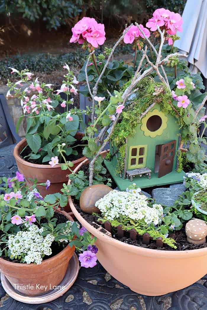 Pretty flowers in terra cotta clay pots. How To Make A Flower Pot Fairy Garden.