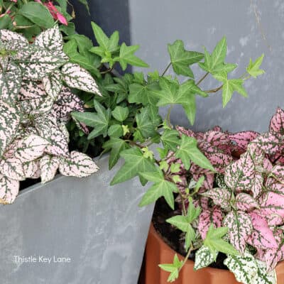 Porch Update – Space Saving Planters