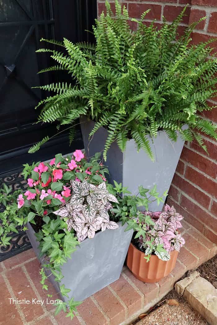 Pink and green flowers. Porch Update - Space Saving Planters.
