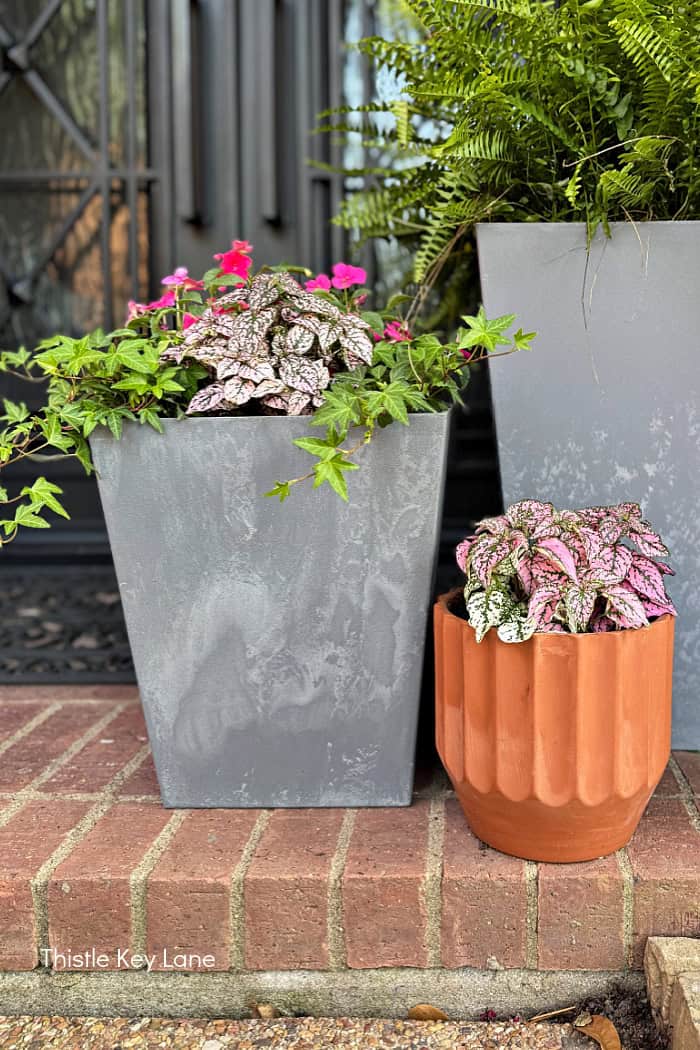 Terracotta pot to go with gray composite planters.