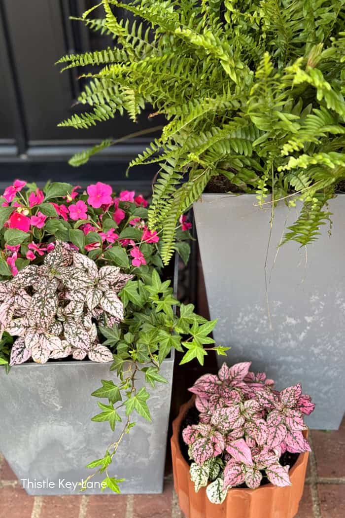 Shade loving plants. Porch Update - Space Saving Planters.