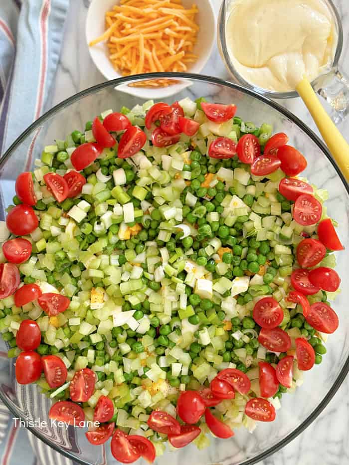Ring of tomatoes around edge of salad.
