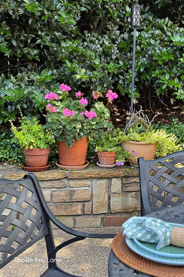 Flower pots on a rock ledge. 