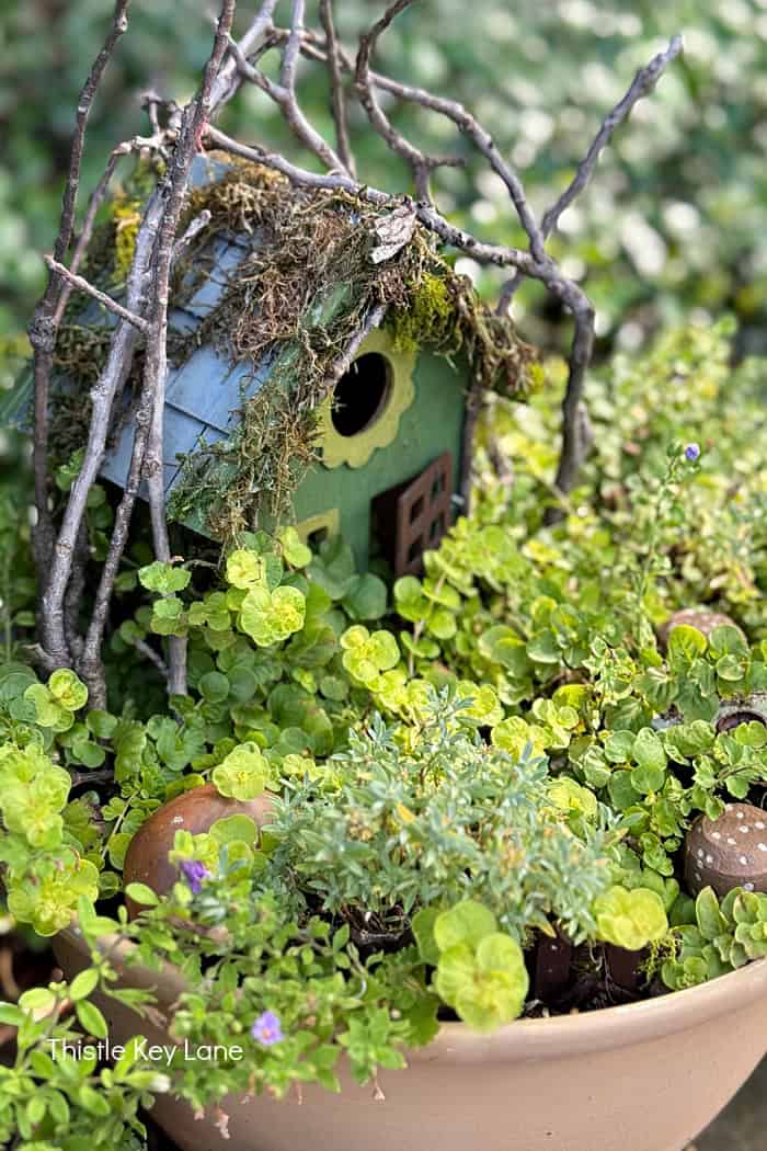Fairy house in a garden pot. 