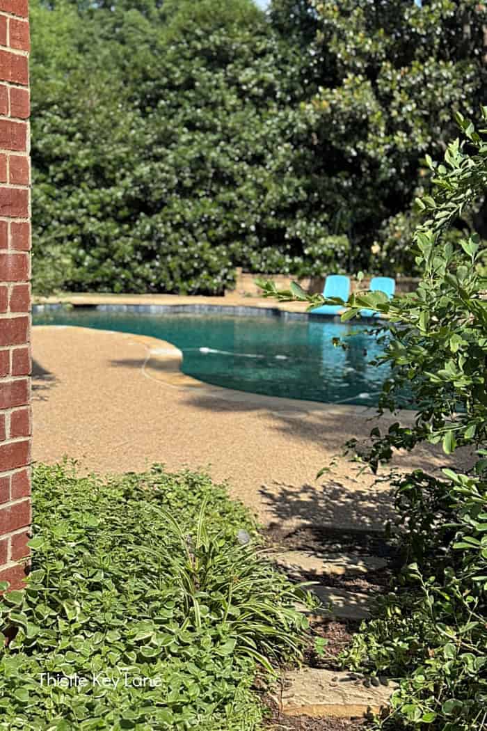 Garden path to the patio.