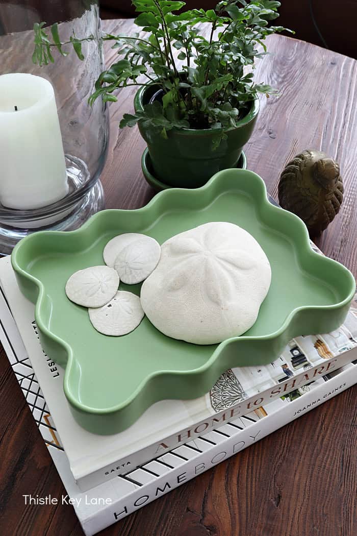 Tray with sand dollars on coffee table. 