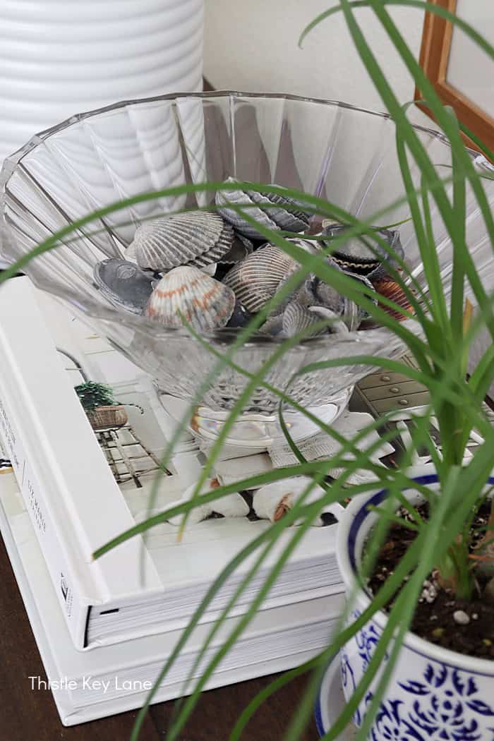 Glass bowl of dark gray shells.