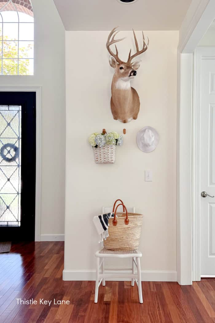 Deer head, wall pegs, basket of flowers, hat.