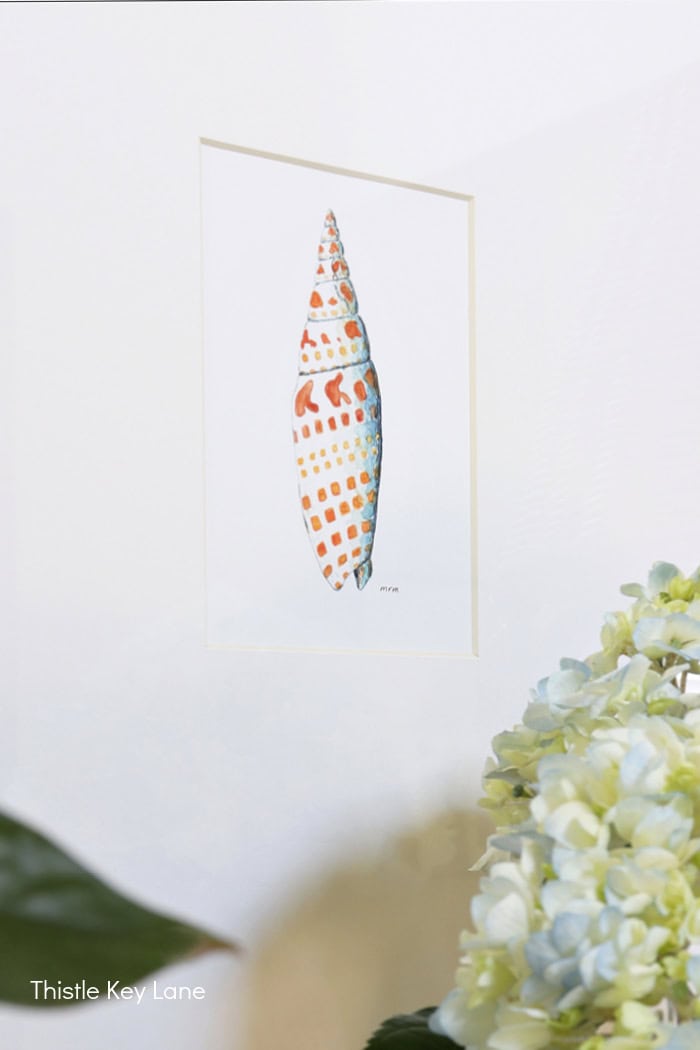 Orange and blue shell watercolor. 