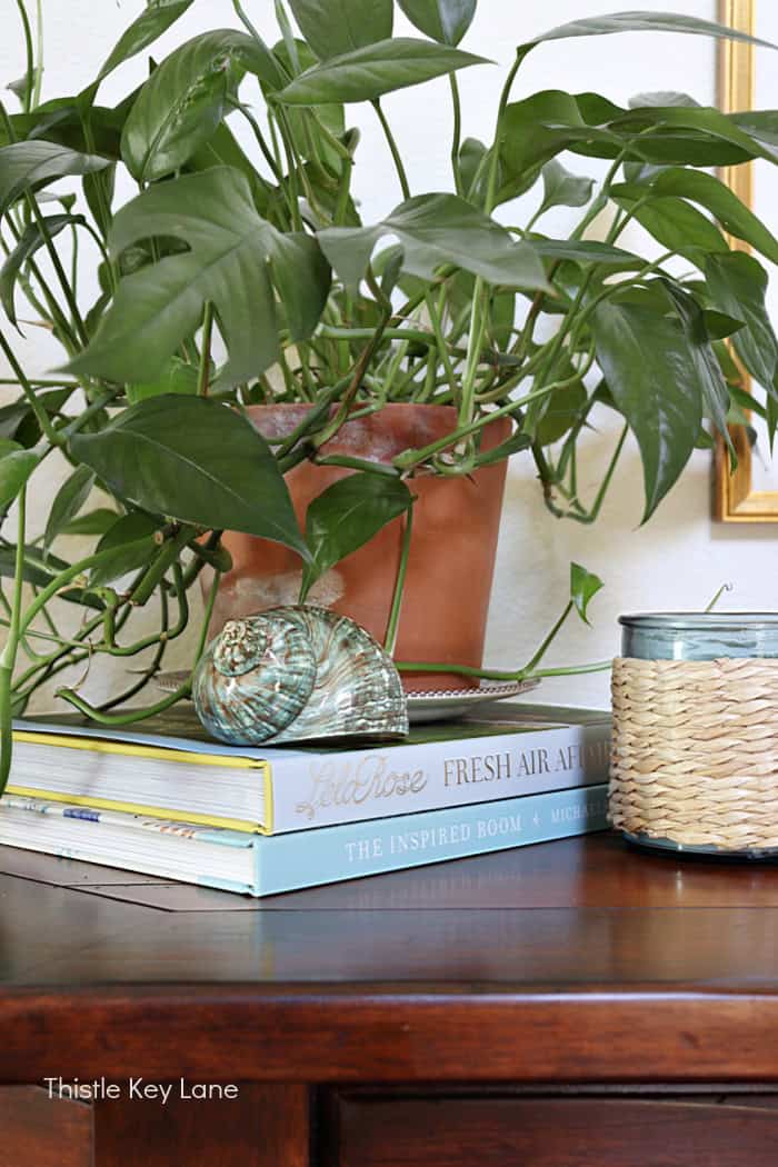 Green plant terra cotta pot, books, turquoise sea shell. Coastal Cottage Entry Table.