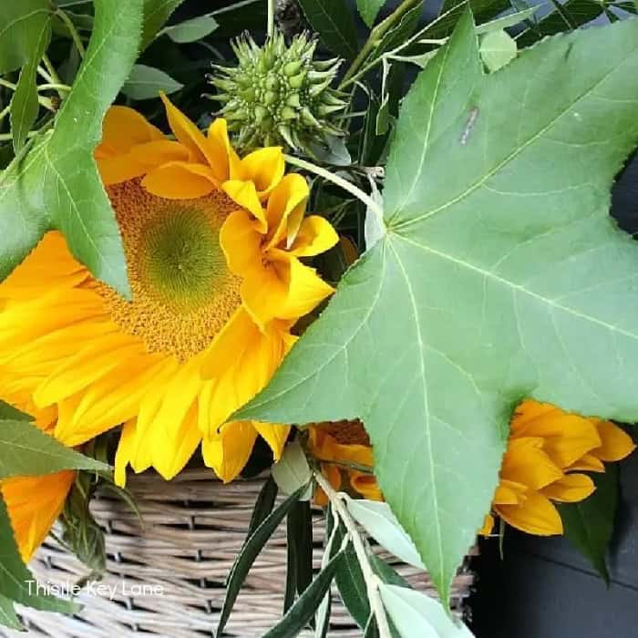 Willow Basket Door Arrangement For Early Fall