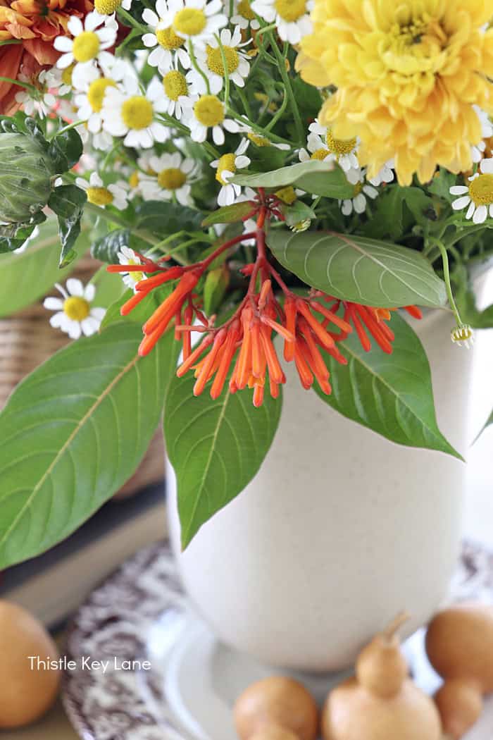 Fire bush blooms in flower arrangement.
