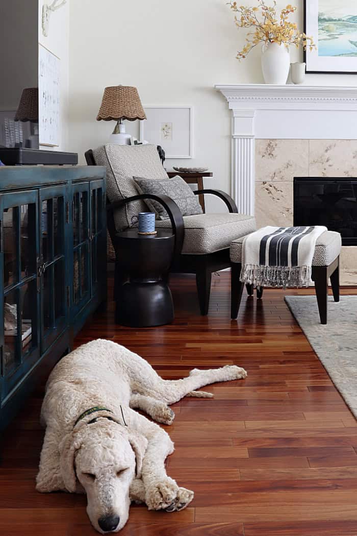 White dog on wood floor.