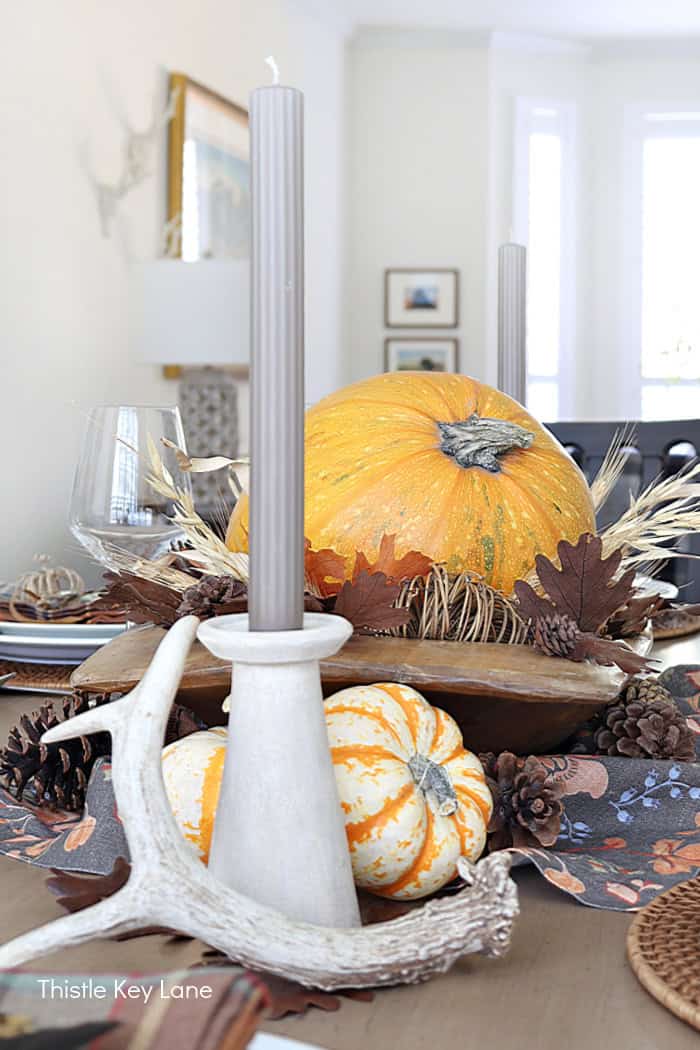 Deer shed and candle holder.