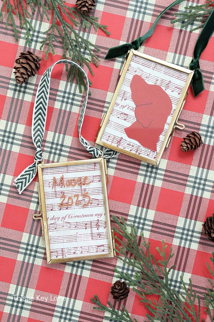 Add a name and date on the back of the ornaments. DIY Silhouette Keepsake Ornaments.