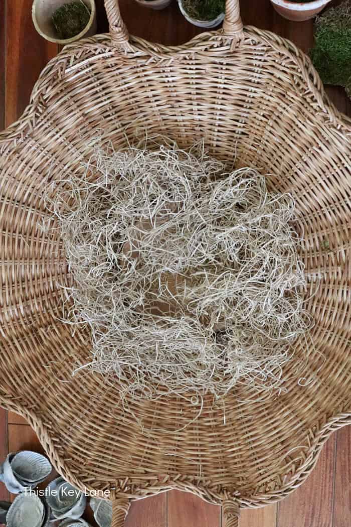 Excelsior in a basket.