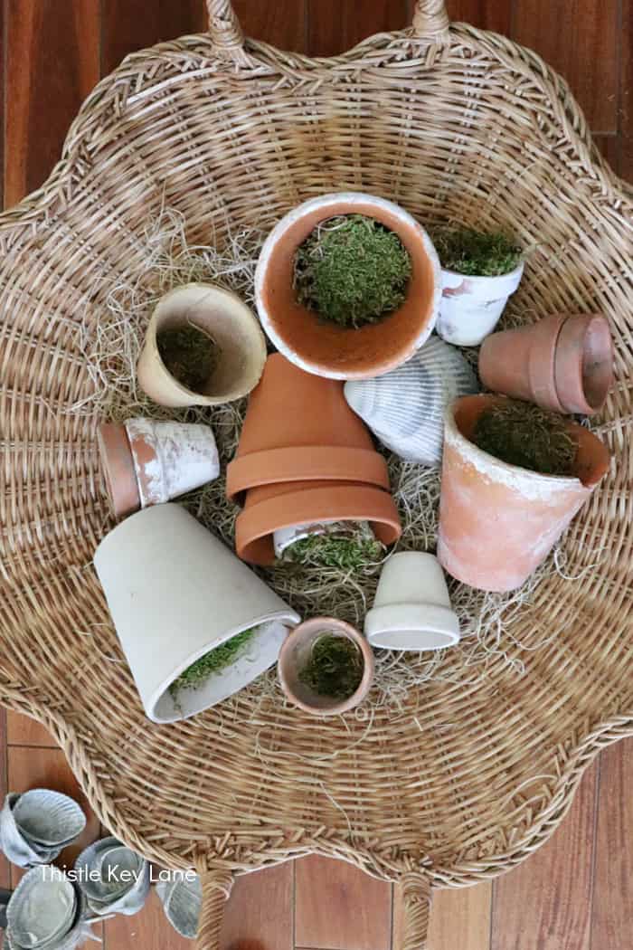 Flower pots and moss in a basket.