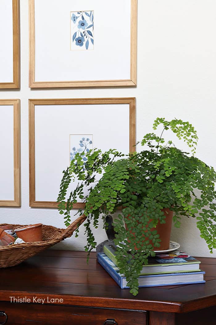 Maiden hair fern on a stack of books. How To Create A Garden Basket Vignette.