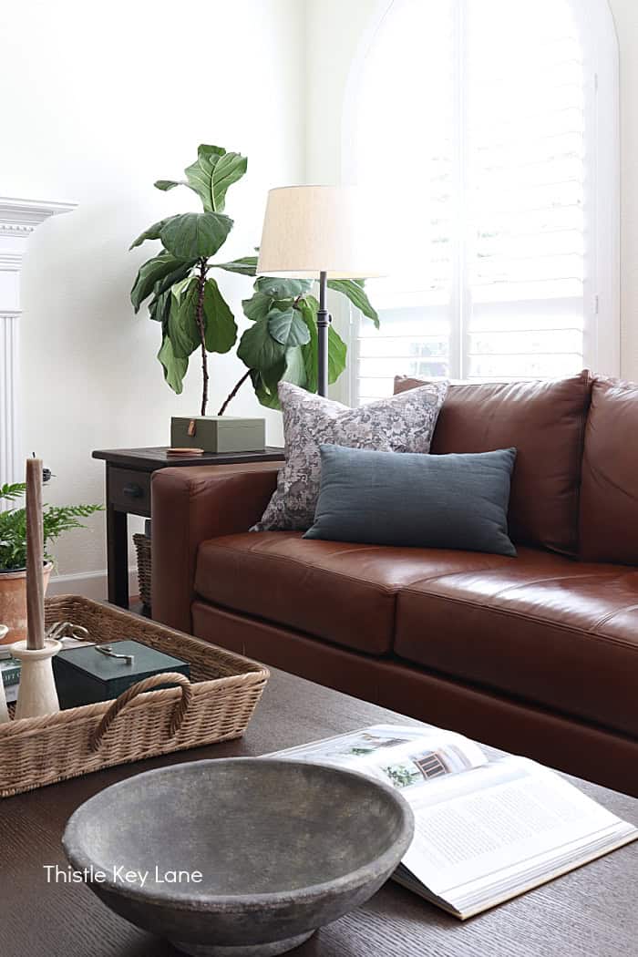 Leather sofa with blue pillows, green fig in background. Winter To Spring Transitional Styling.