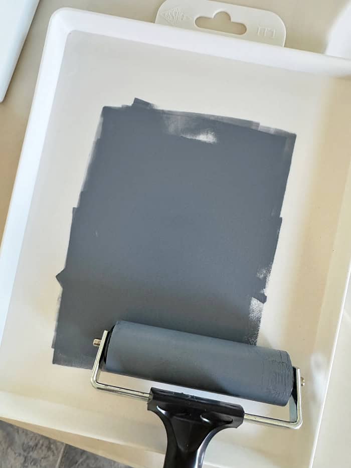 Brayer and tray with ink.