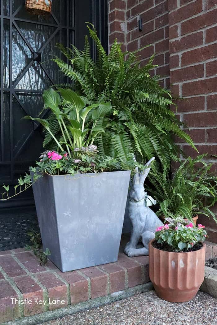 Impatiens and pink polka dot plants with ferns. Spring Porch Refresh With Bunnies.